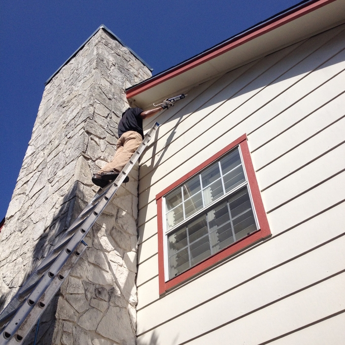 Wasp Removal and sealing