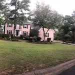 Tree removals/trimming