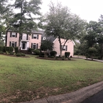 Tree removals/trimming