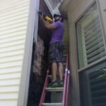Before Rotten Wood Replacement