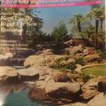 check out this amazing hardscape water feature