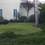Artificial grass installation