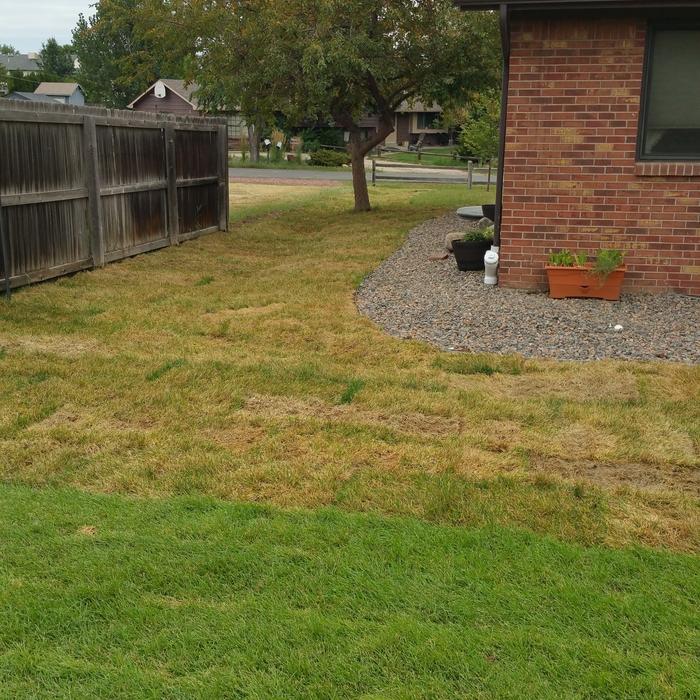 French drains with new sprinkler system and landsc