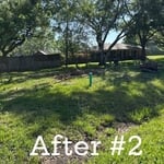 Tree removal