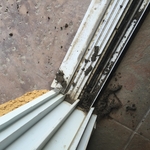 Muddy window tracks