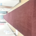 carpet cleaning service A