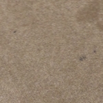 carpet cleaning service A