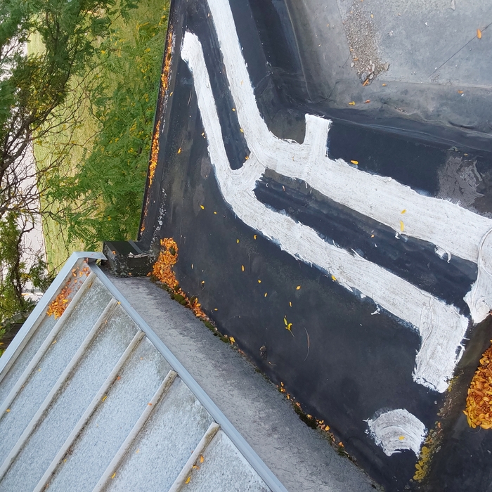 Roof Inspection