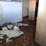 Kitchen Renovation