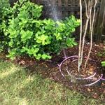 Drip line break
