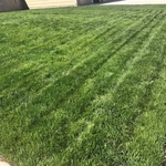 Lawn Care 1