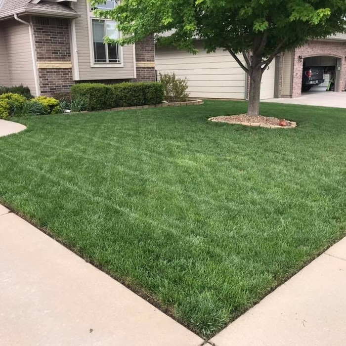 Lawn Care 4