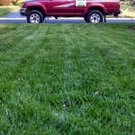 Organic Lawn Care