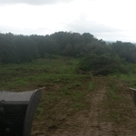 lot clearing
