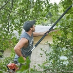 Trimming