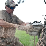 Tree Removal