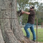 Tree Remova