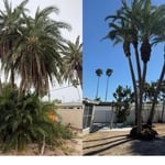 Before & After photos