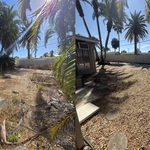 Property Clean-Up Before & After