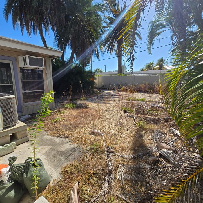 Before Photo Property Clean-Up
