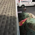 Gutter screens