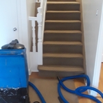 CARPET CLEANING