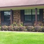 Front Bushes