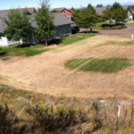 community yard 2