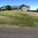 community yard 1