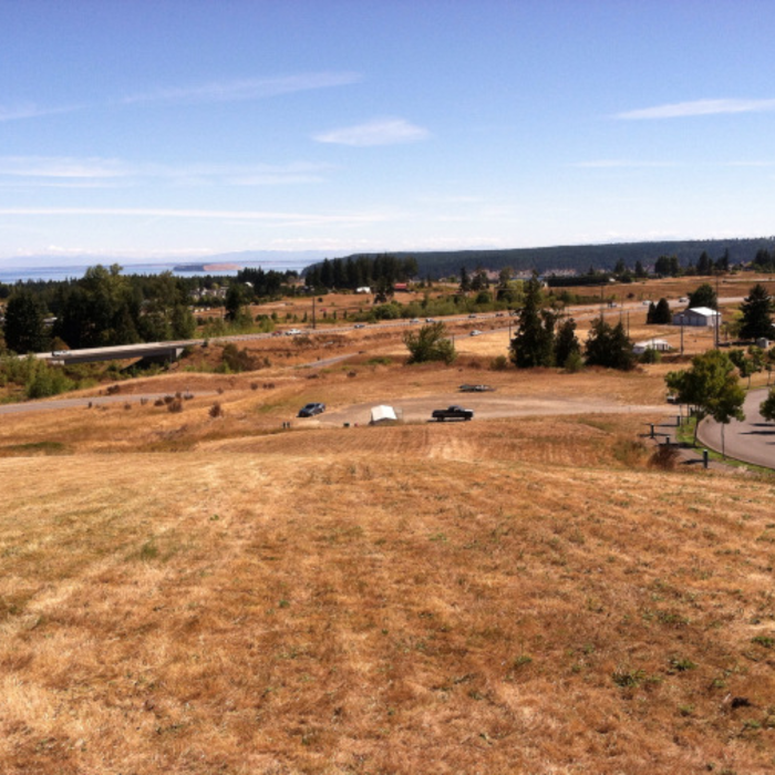 hillside feild 2