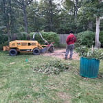 Stump grinder