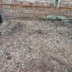 Stump all ground up wood chips raked out flat