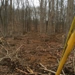 Land Clearing for electric line