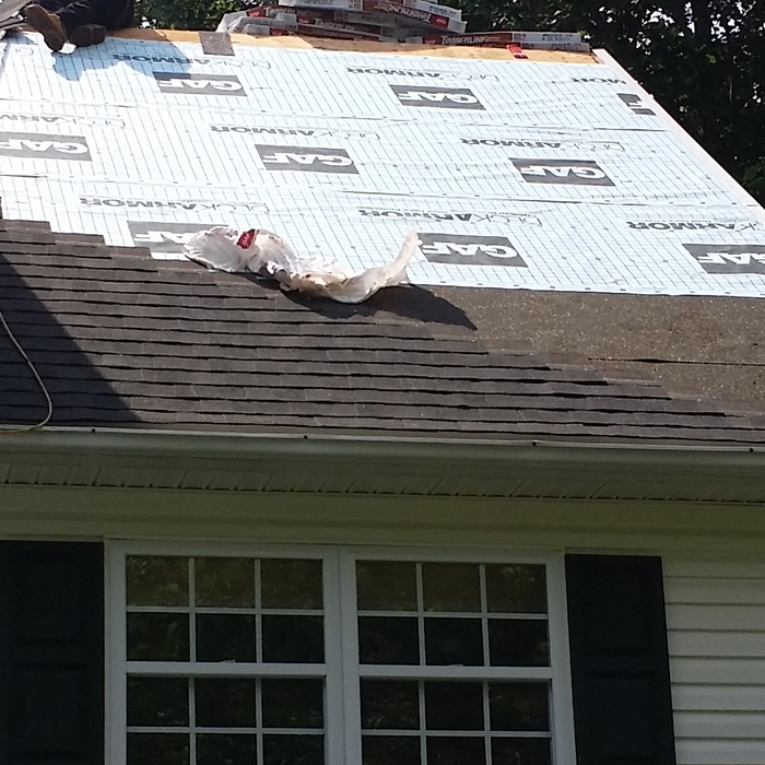 New Shingles