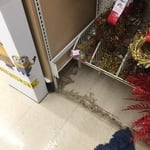 Michaels craft store