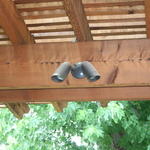 Pergola lighting