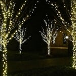 Holiday Lighting Sample