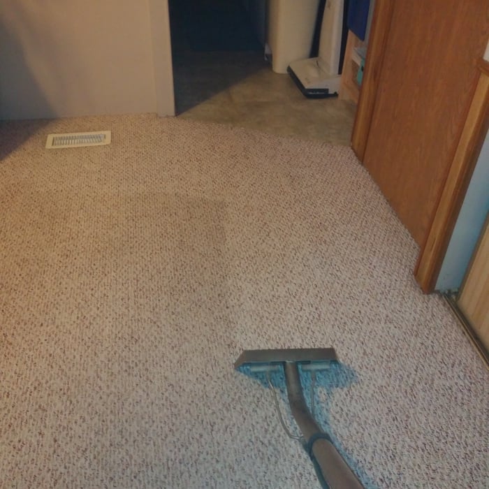 CARPET CLEANING