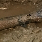 Pipe extracting