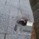 squirrel damage on ridge of roof