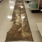 Unwaxed Floor
