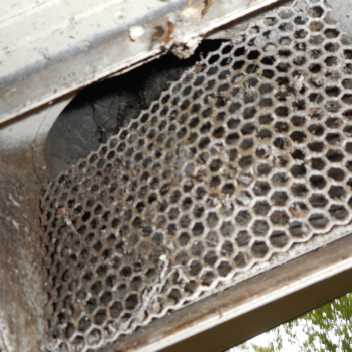 Dryer Vent