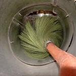 Our Brushing System