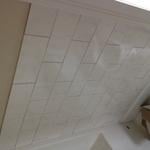 Shower surround