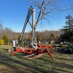 Stately Tree Service
