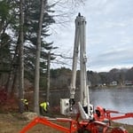 Stately Tree Service