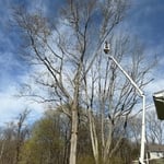 90ft lift