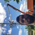 pine