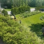 Tree removal china maine