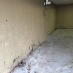 Wet Basement